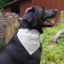 I’m So Pawsome Canvas Slip-On Pet Bandana – Pavilion’s Pets – 7″x5″